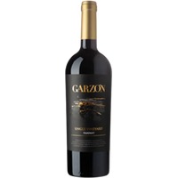 Bodega Garzón Single Vineyard Tannat - - Süden, Uruguay