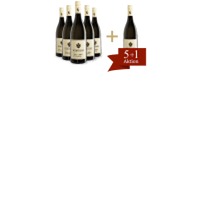 Grüner Veltliner Ried Goldberg (5+1)