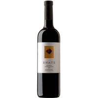 Enate Viñedos y Crianzas del Alto Aragon Enate Cabernet Sauvignon Reserva Somontano DO - - Somontano, Spanien