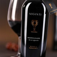 Negroamaro Salento Appassite Viginti
