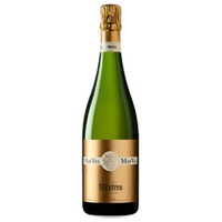 Mestres Mas Vía Gran Reserva Brut