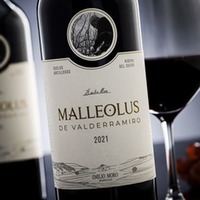 Malleolus de Valderramiro