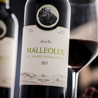 Malleolus de Sanchomartin