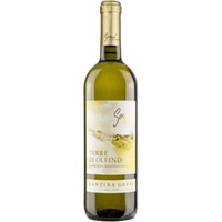 Bianco Terre Di Olfino Garda Colli Mantovani DOC - Gozzi Azienda Agricola