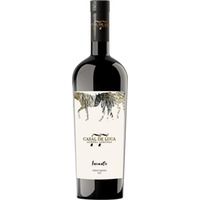 Incanto Pinot Grigio Lazio IGP trocken Bio - Azienda Agricola Casal De Luca