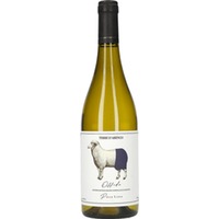 Pecorino Offida DOCG - Terre D'Arengo