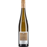 Würzburger Stein-Berg Riesling GG, Trocken, Franken, Franken, 2024, Weißwein