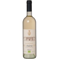 Falerio "Vigna Palazzi" DOC - Saladini Pilastri