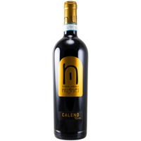 Nugnes Caleno Oro Falerno del Massico Riserva DOC