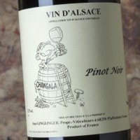 Ginglinger Pinot Noir