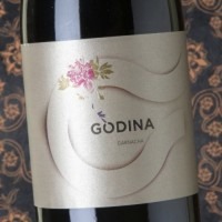 Godina