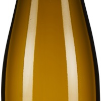 Grüner Veltliner Ried Kirchengarten Reserve