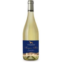 Sauvignon IGT Venezia Giulia