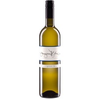 Sauvignon Blanc trocken - Weingut Scherr