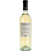 Tommasi Viticoltori Soave Classico DOC Vigneto Le Volpare - - Veneto, Italien