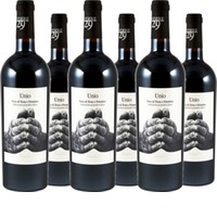 Unio Nero di Troia Primitivo Puglia IGT