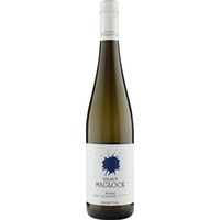 Riesling Kamptal DAC Ried Gaisberg Alte Reben - Weingut Helmut Maglock (DE)