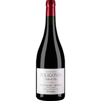 Zuccardi Polígono Gualtallary Malbec