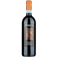 Magnum - Valpolicella Ripasso Classico Superiore - Speri