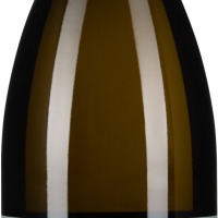 Grüner Veltliner Horizont