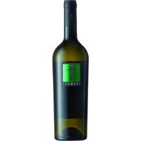Tenuta Palmeri Verde Grillo - - Sizilien, Italien