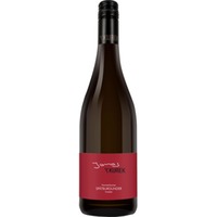 Nonnenhorner Spätburgunder QW trocken -