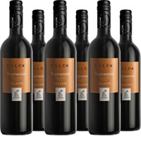 Negroamaro Caleo Salento IGT