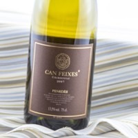 Can Feixes Chardonnay