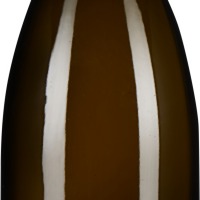 Weißburgunder Salz der Erde