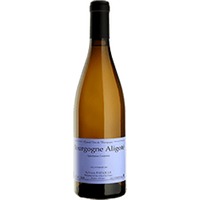 Domaine Sylvain Pataille : Bourgogne Aligoté