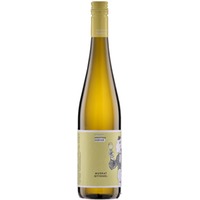 Muskat Ottonel - Winzerhof Krottendorfer