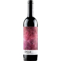 Bodega Peñalba Lopez Cyclo Bio, Ribera del Duero DO, Kastilien - León, 2019, Rotwein