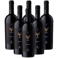 Sampietrana Trefilari Primitivo Salento 6er Weinpaket Apulien