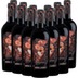 12x Vorteilspaket Enigma Appassimento Sangiovese Rubicone - Biscardo 