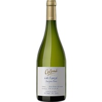 Bodega Colomé Sauvignon Blanc Altura Maxima - - Salta, Argentinien