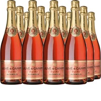 Juve y Camps Brut Rose Pinot Noir