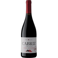 Colheita Selecionada Tinto - Cabriz