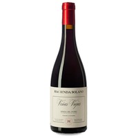 Hacienda Solano Viñas Viejas