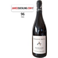 Domaine Anita • Chateau Gaillard