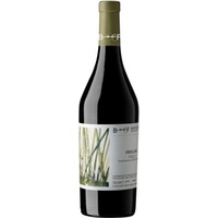 Friulano Friuli DOC - Berto & Fiorella Baccichetto