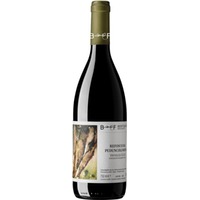 Refosco dal Peduncolo Rosso Trevenezie IGP - Berto & Fiorella Baccichetto