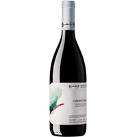 Cabernet Franc Venezia Giulia IGP - Berto & Fiorella Baccichetto