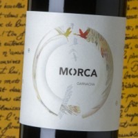 Morca