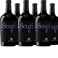 I Scuri Merlot Venezia DOC