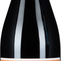 Blaufränkisch Eisenberg