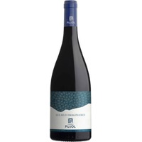Ailes Imaginaires - Domaine Pujol