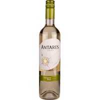 Antares Sauvignon blanc Central Valley DO - Santa Carolina