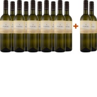 10+2 Grüner Veltliner - Fleckl