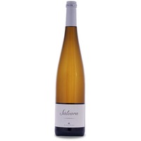 Rodrigo Méndez Sálvora