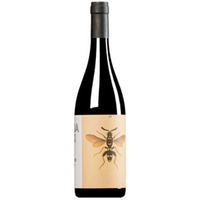 "Il Sangiovese" Sangiovese Superiore Romagna DOC (BIO)